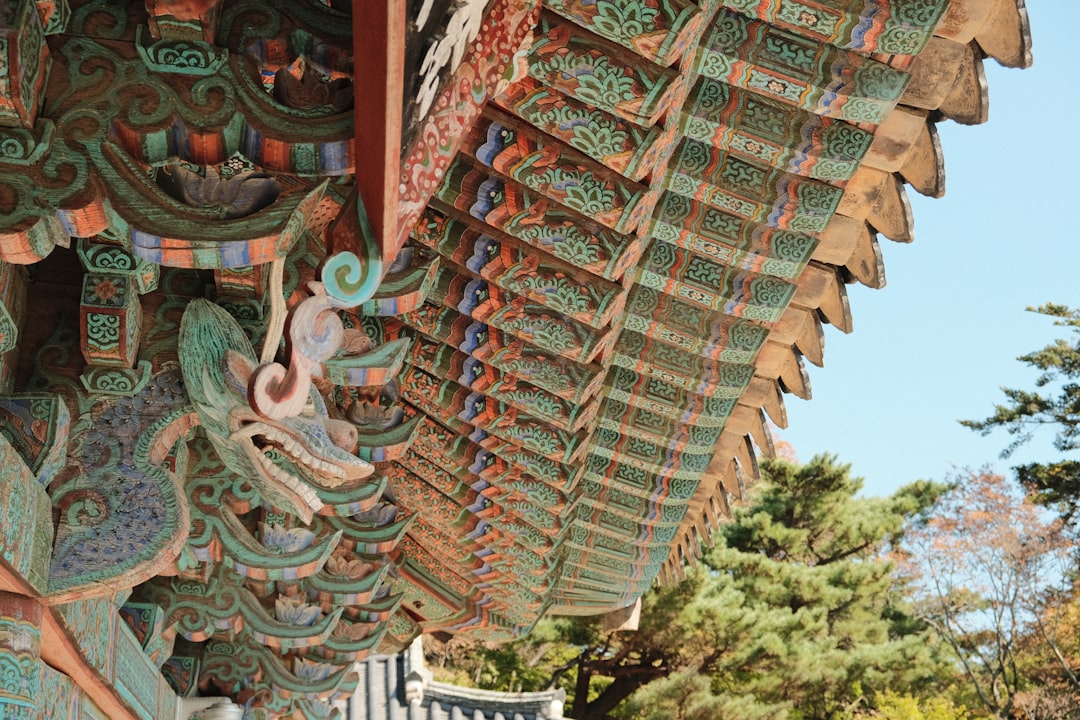 Seoul to Busan Overlander