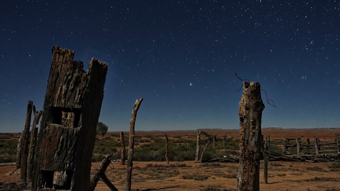 The Simpson Desert
