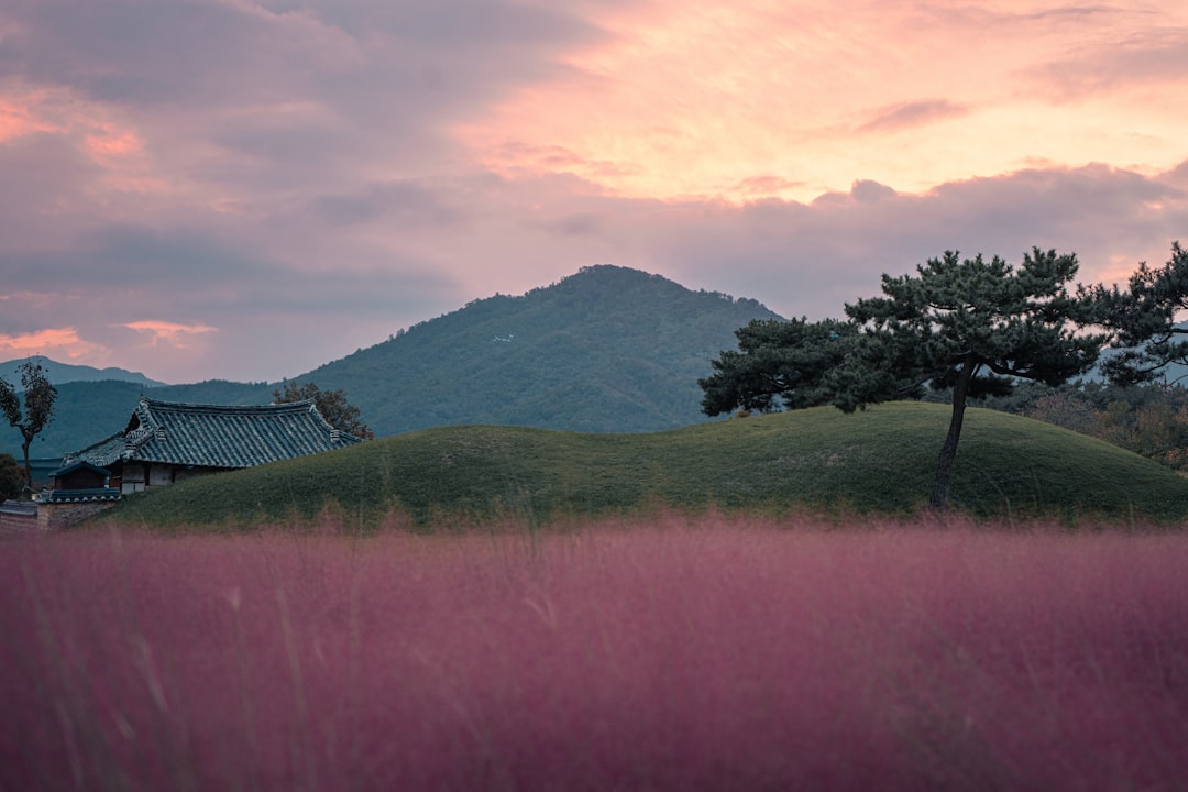 Korean Coastal Highway