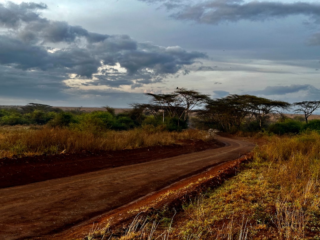 Tanzania Northern Safari Circuit