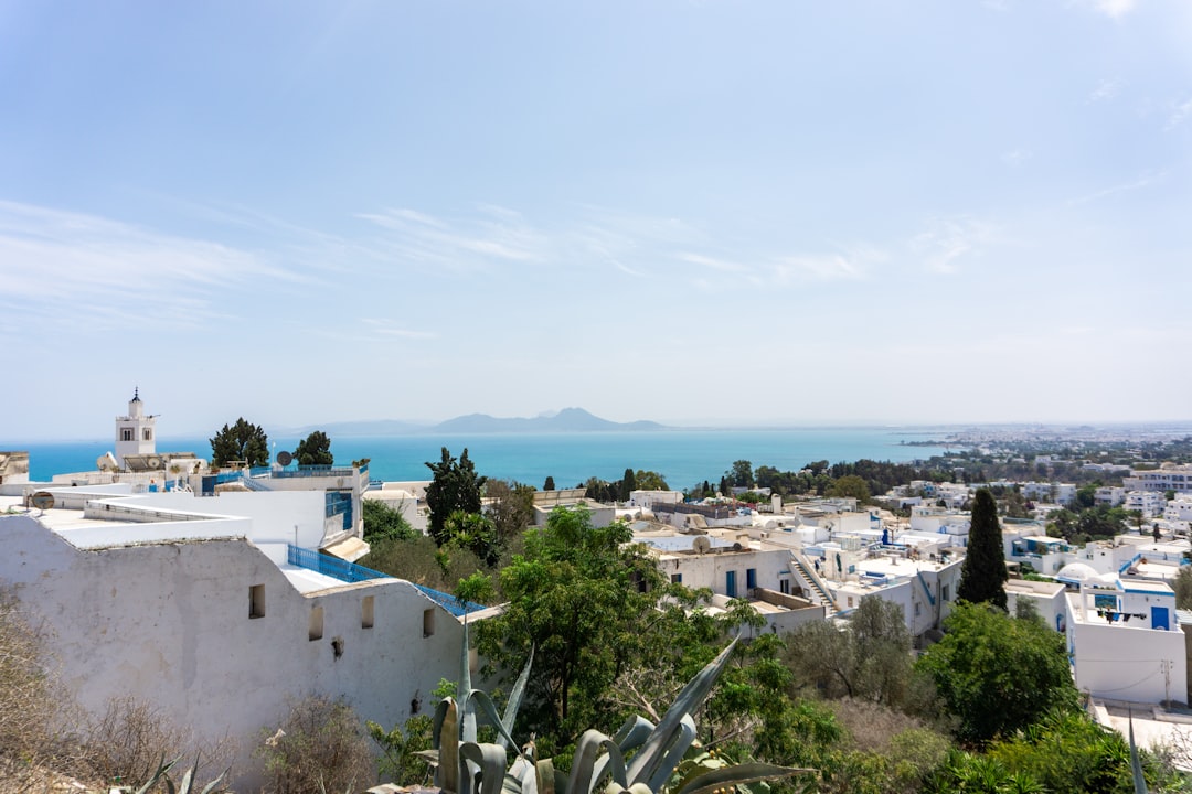 Tunisia: Medinas to Sahara