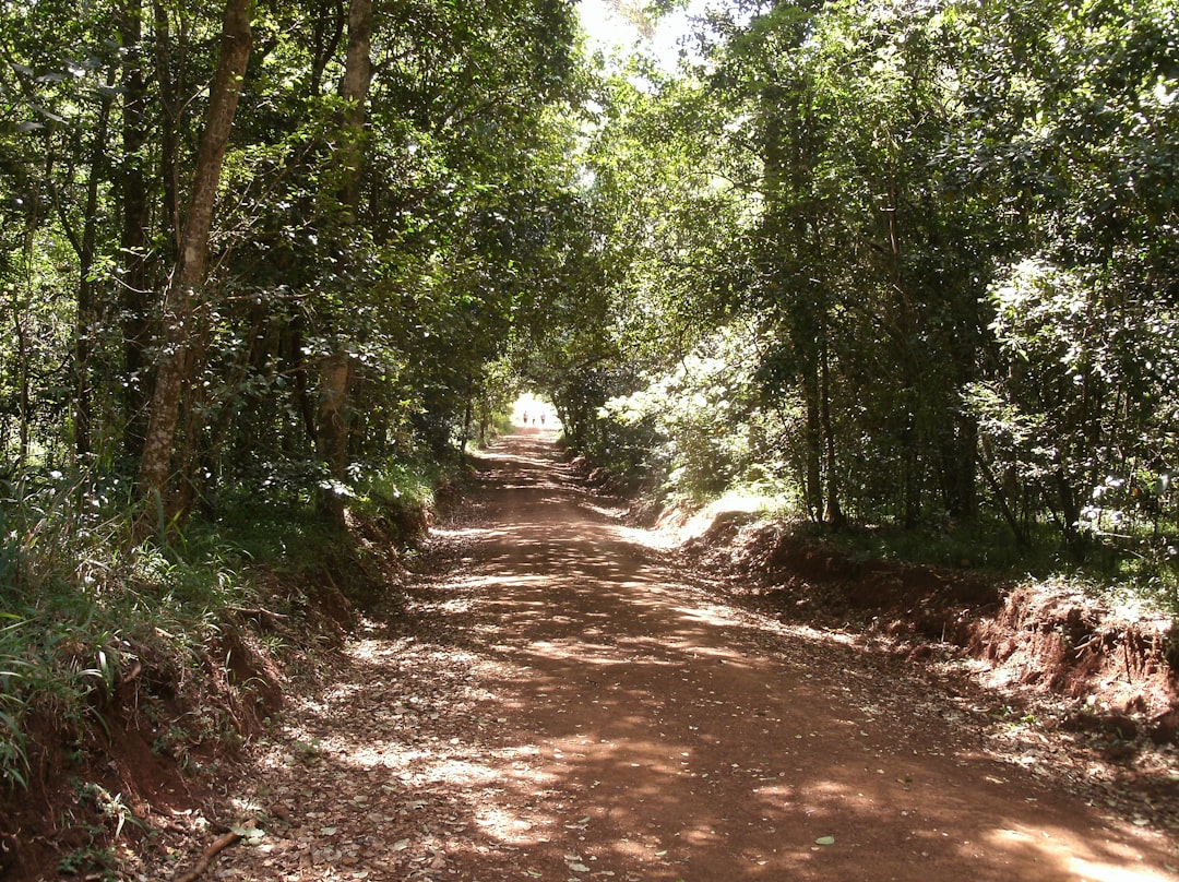 Uganda Fort Portal to Bwindi