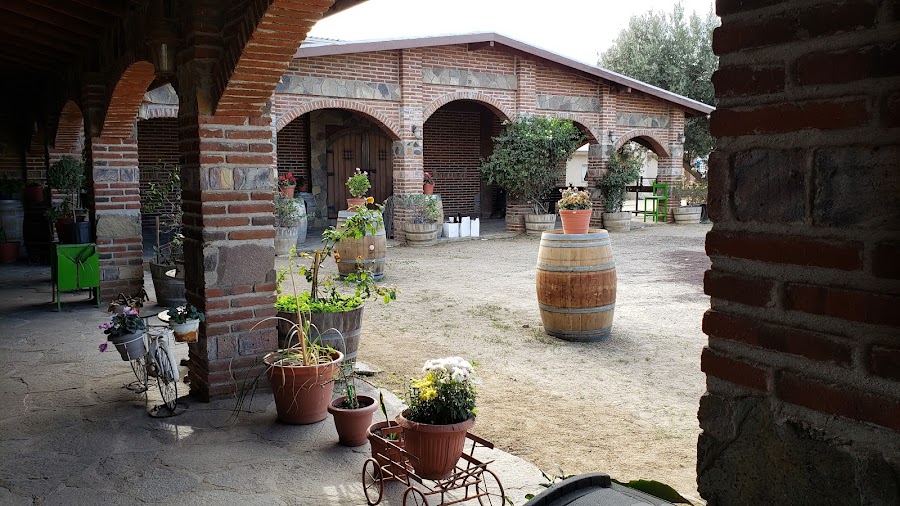 Valle de Guadalupe Wine Route