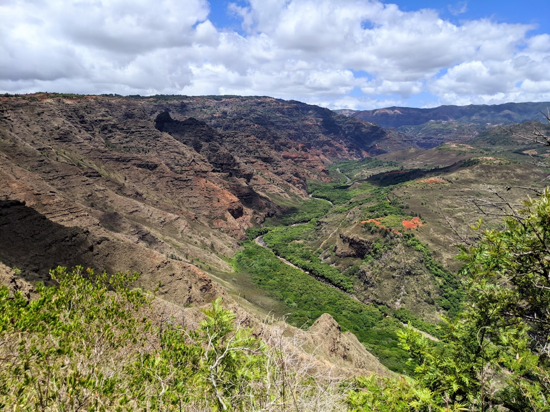 Waimea Canyon Drive