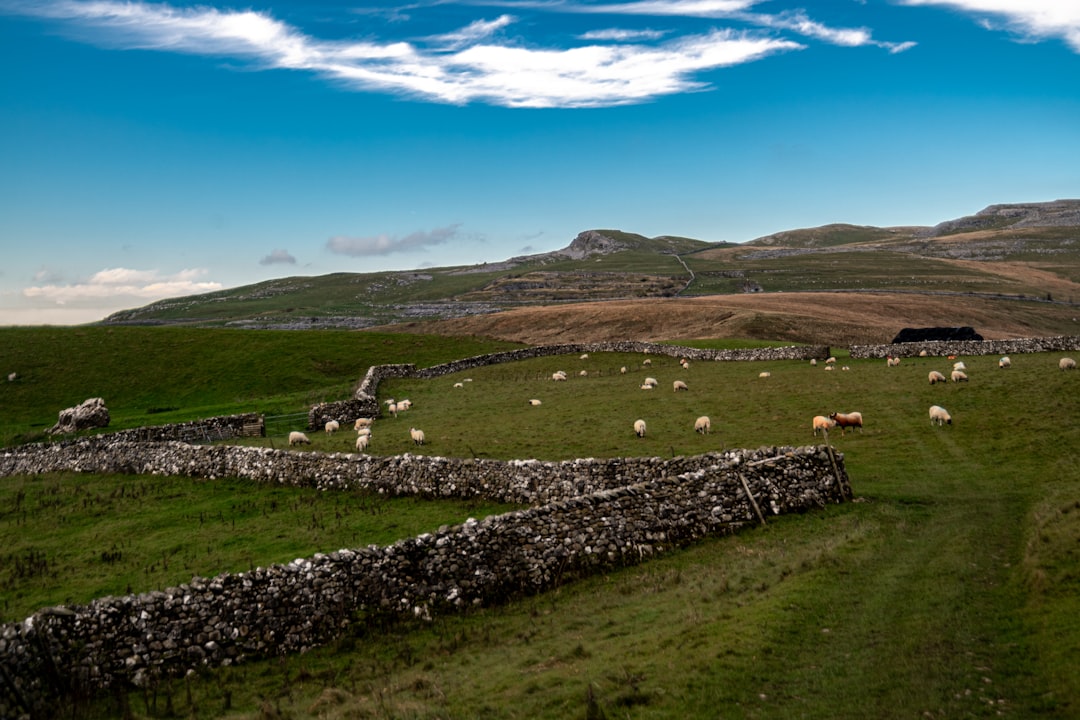 Yorkshire Moors and Dales